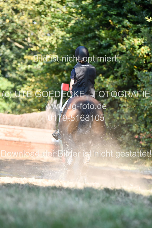 110820---Geländepferde-A---_046.jpg