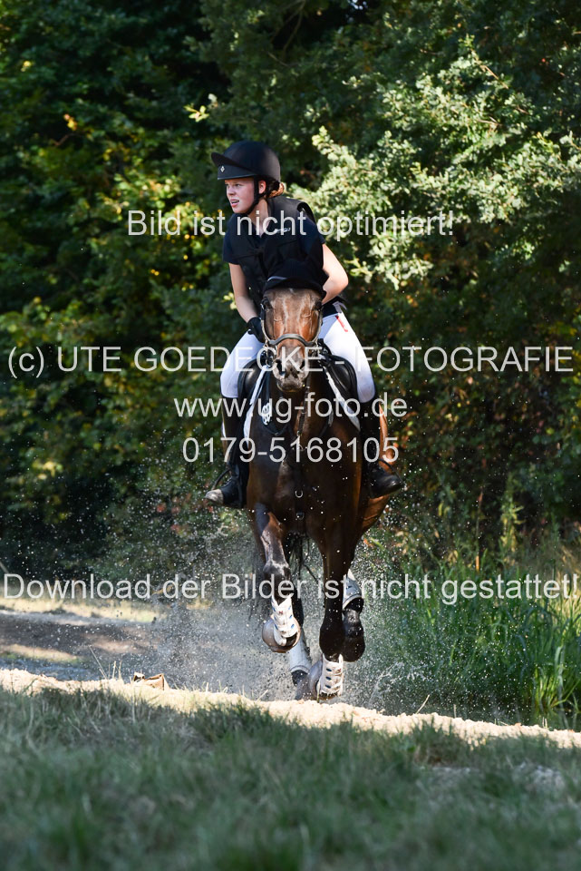 110820---Geländepferde-A---_054.jpg