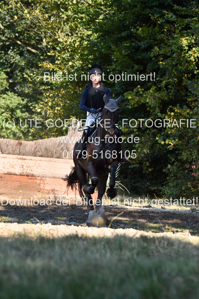 110820---Geländepferde-A---_071.jpg
