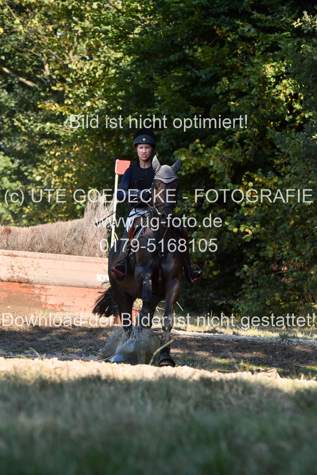 110820---Geländepferde-A---_072.jpg