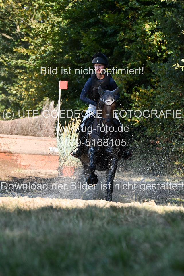 110820---Geländepferde-A---_073.jpg