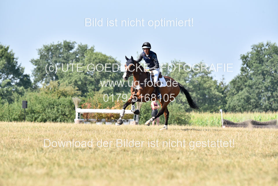 110820---Geländepferde-A---_092.jpg