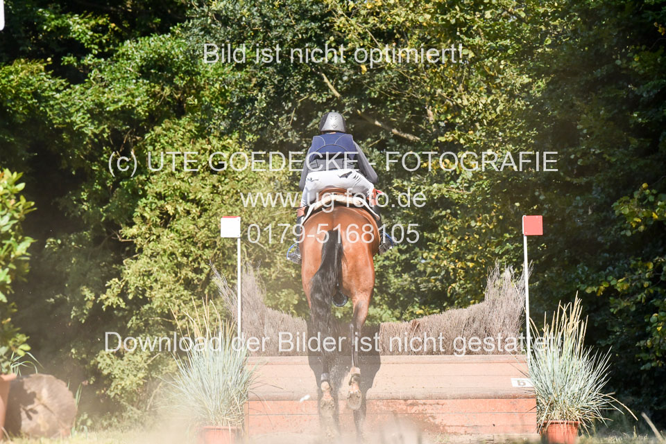 110820---Geländepferde-A---_095.jpg
