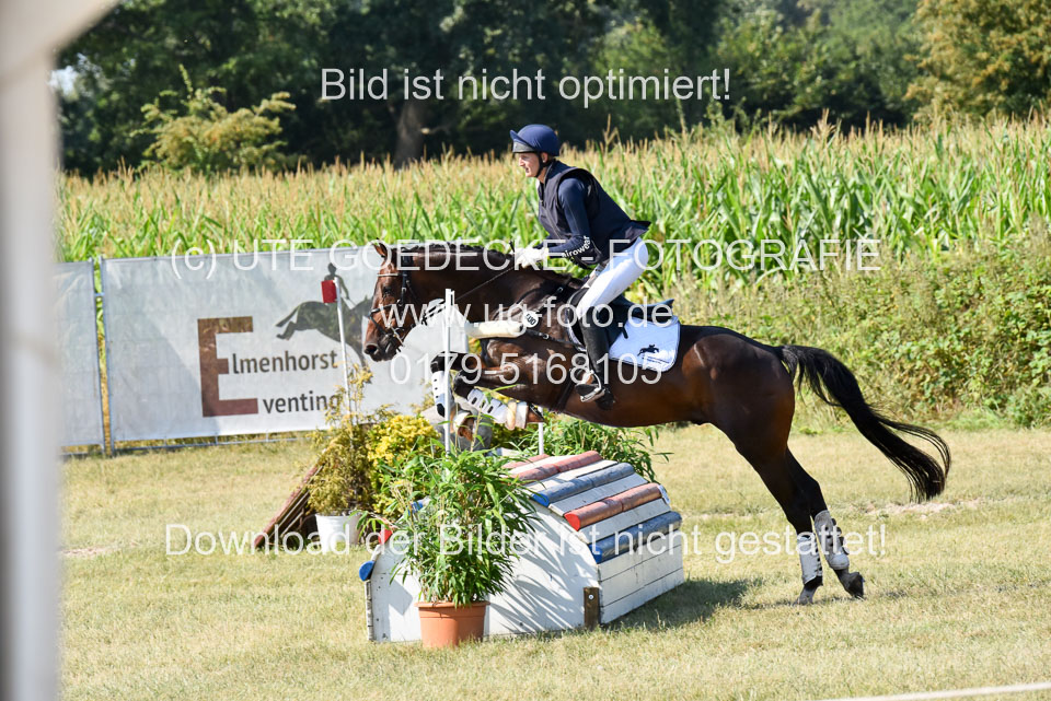 110820---Geländepferde-A---_115.jpg