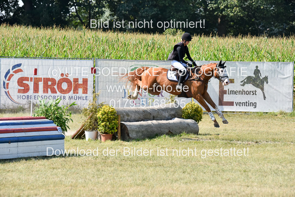 110820---Geländepferde-A---_120.jpg