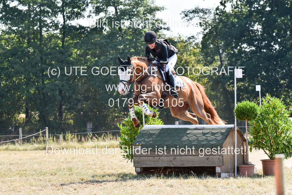 110820---Geländepferde-A---_127.jpg