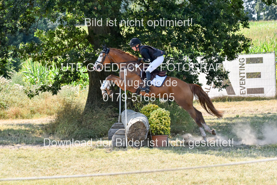 110820---Geländepferde-A---_129.jpg