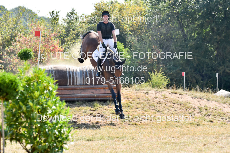 110820---Geländepferde-A---_135.jpg