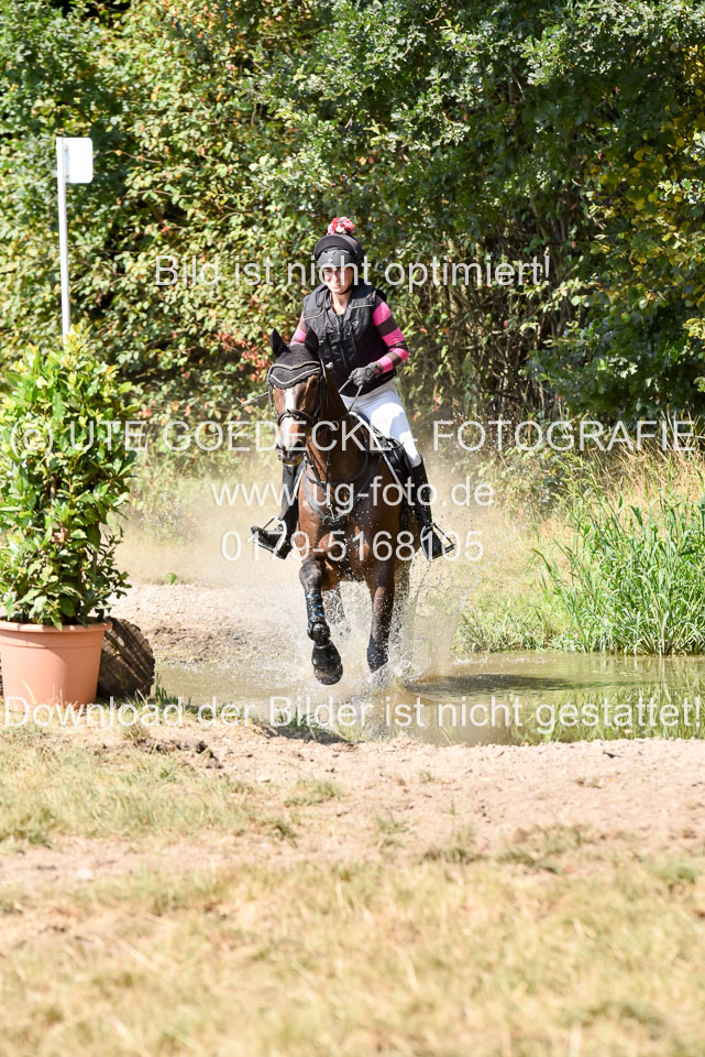 120820---Stil-Gelände-L_220.jpg