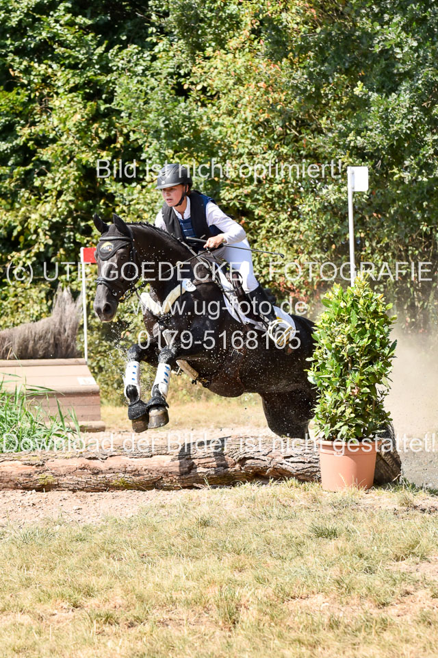 120820---Stil-Gelände-L_240.jpg