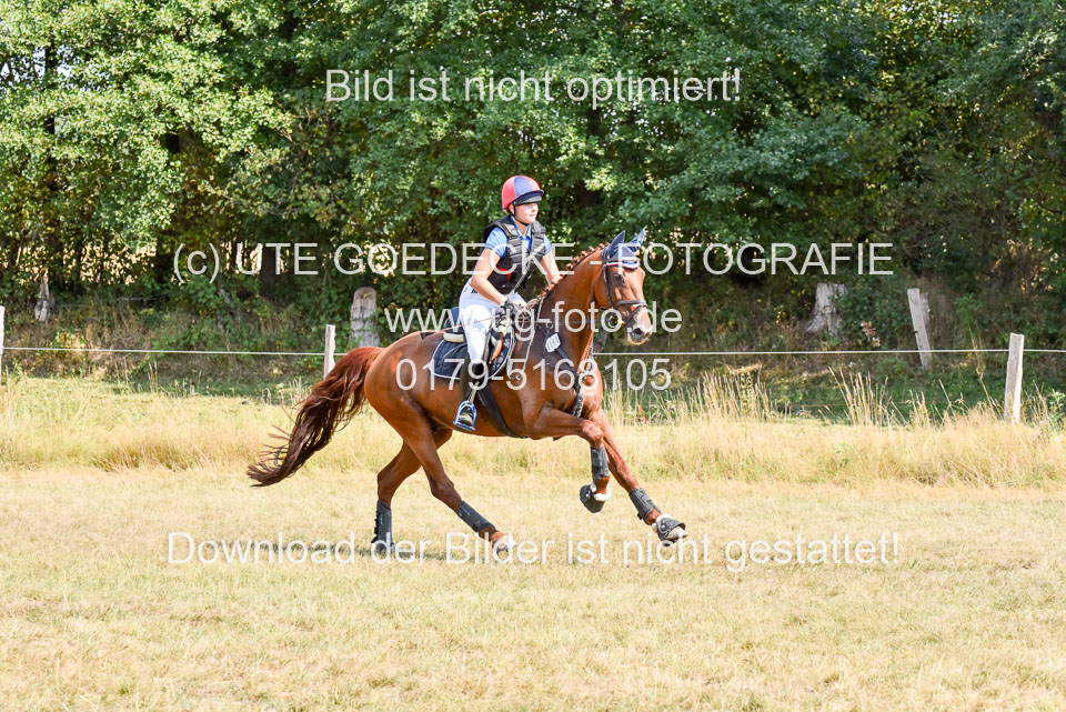 120820---Stil-Gelände-L_245.jpg