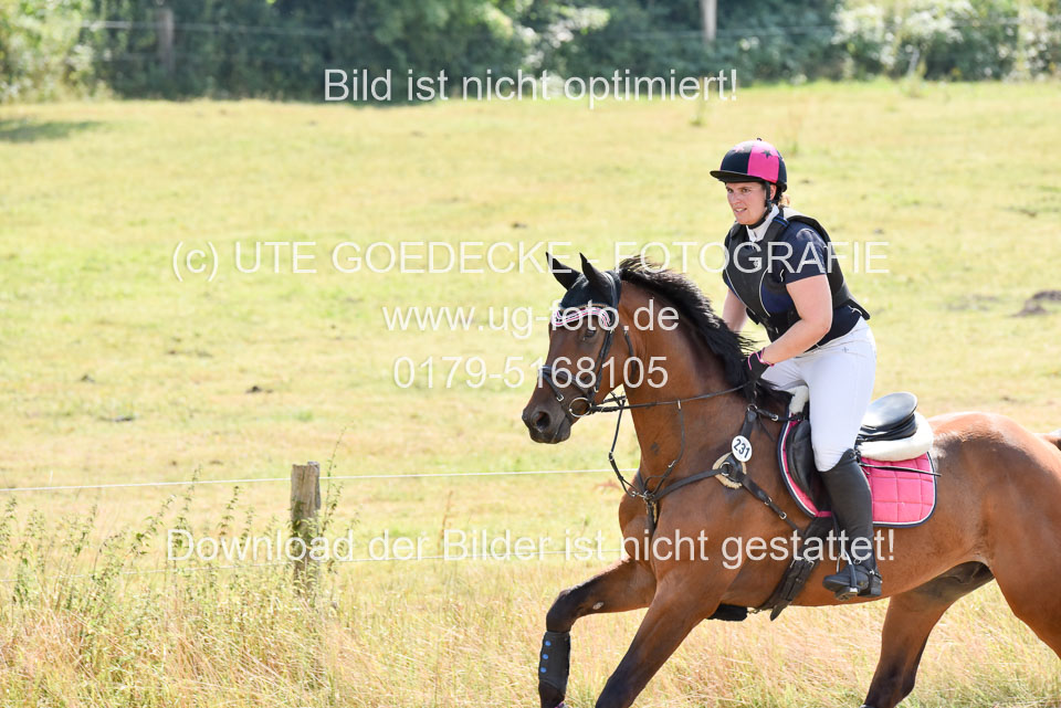 120820---Stil-Gelände-L_255.jpg