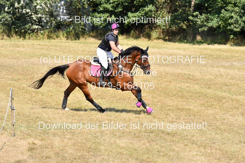 120820---Stil-Gelände-L_258.jpg