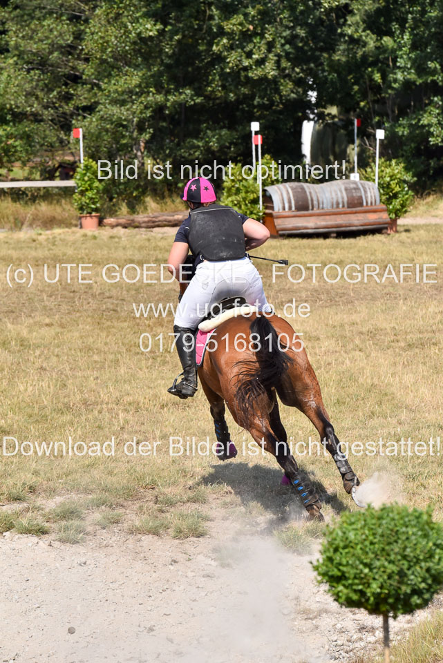 120820---Stil-Gelände-L_263.jpg