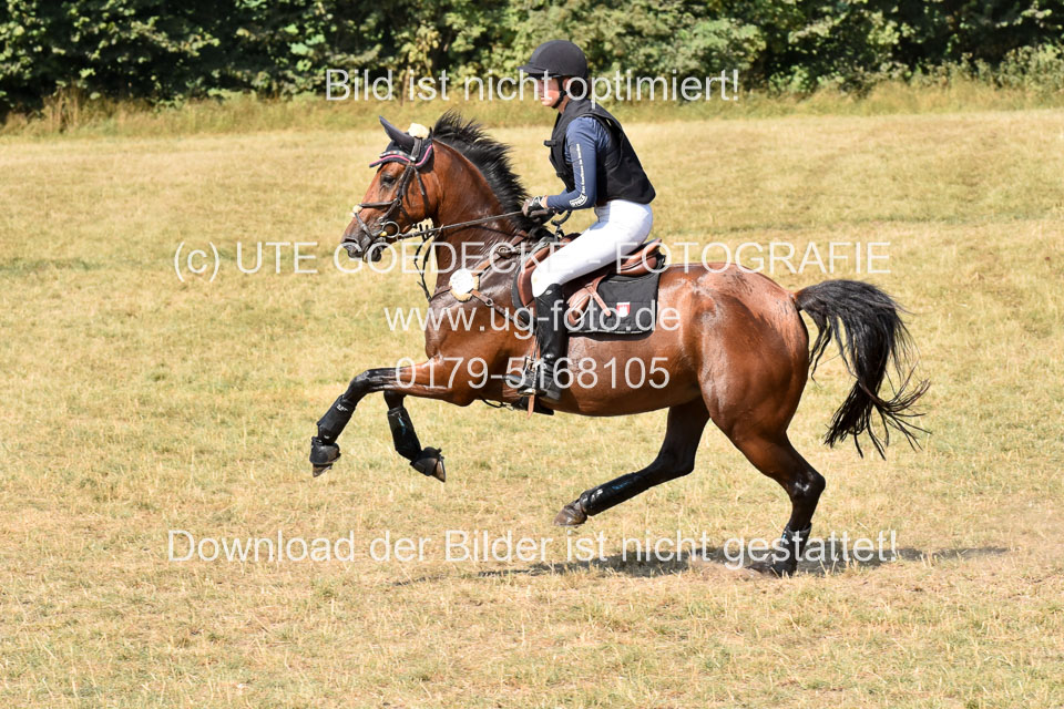 120820---Stil-Gelände-L_299.jpg