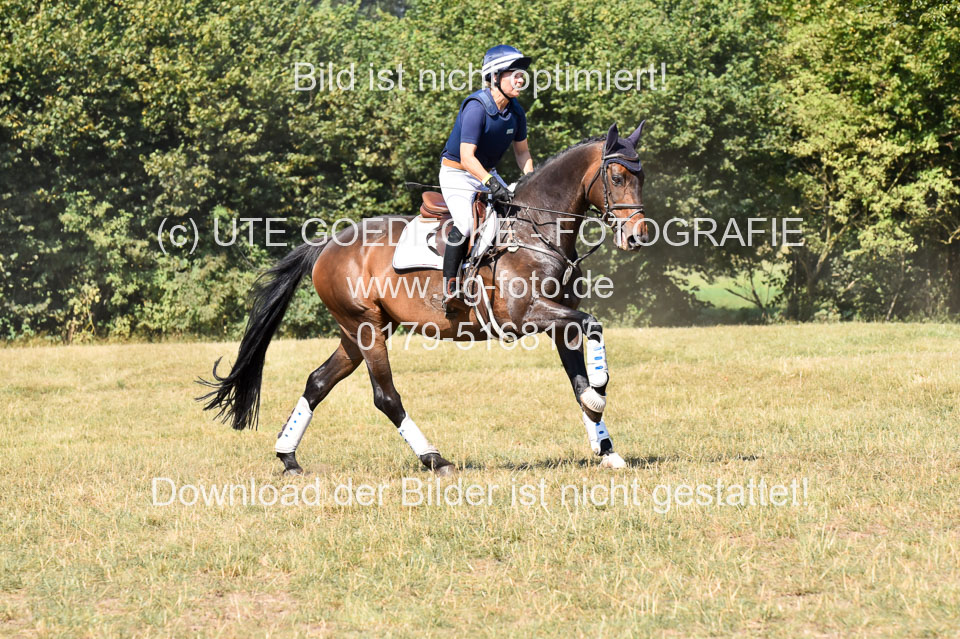 110820---Stil-Gelände-A---_209.jpg