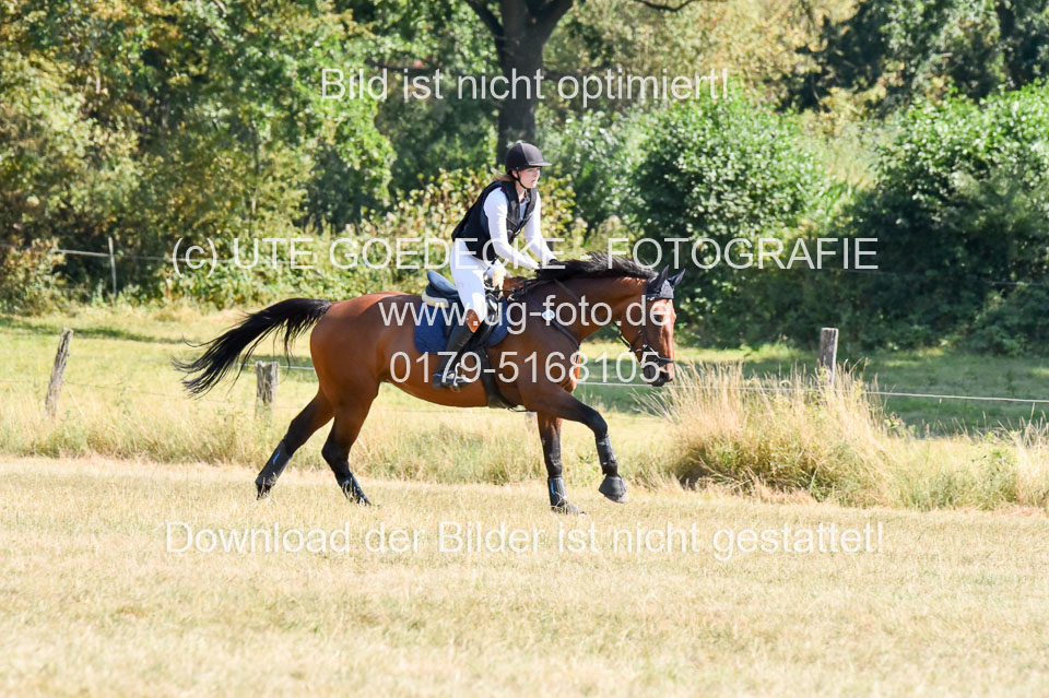 110820---Stil-Gelände-A---_228.jpg