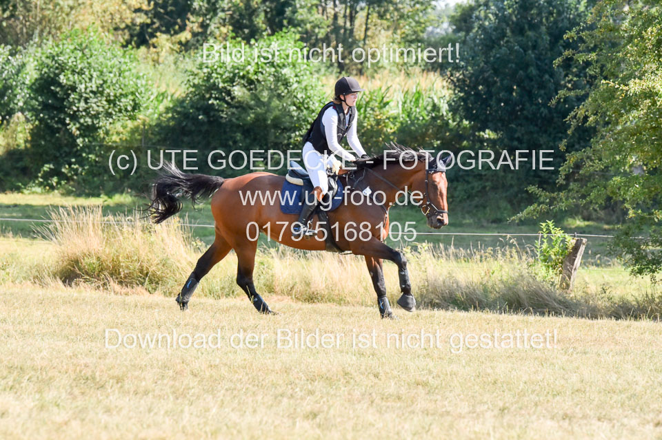 110820---Stil-Gelände-A---_229.jpg