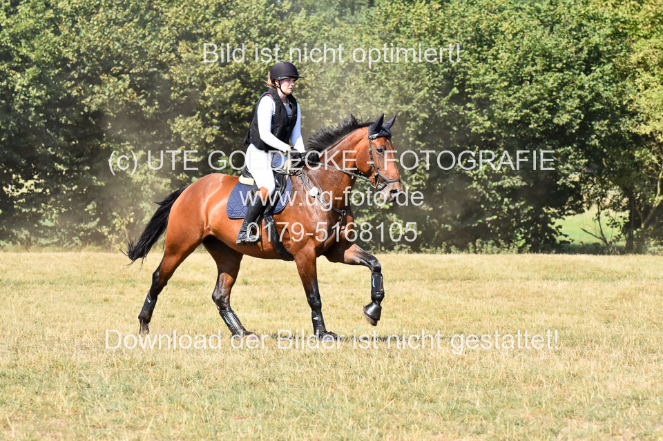 110820---Stil-Gelände-A---_233.jpg