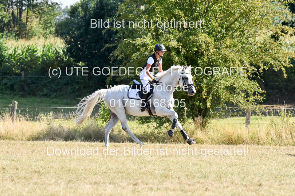 110820---Stil-Gelände-A---_257.jpg