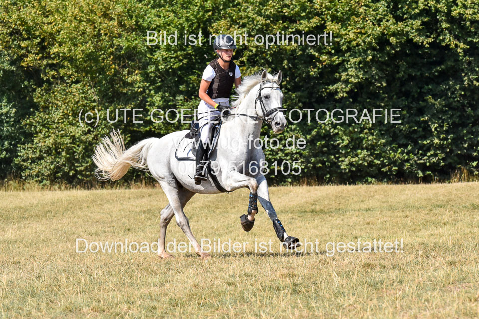 110820---Stil-Gelände-A---_263.jpg