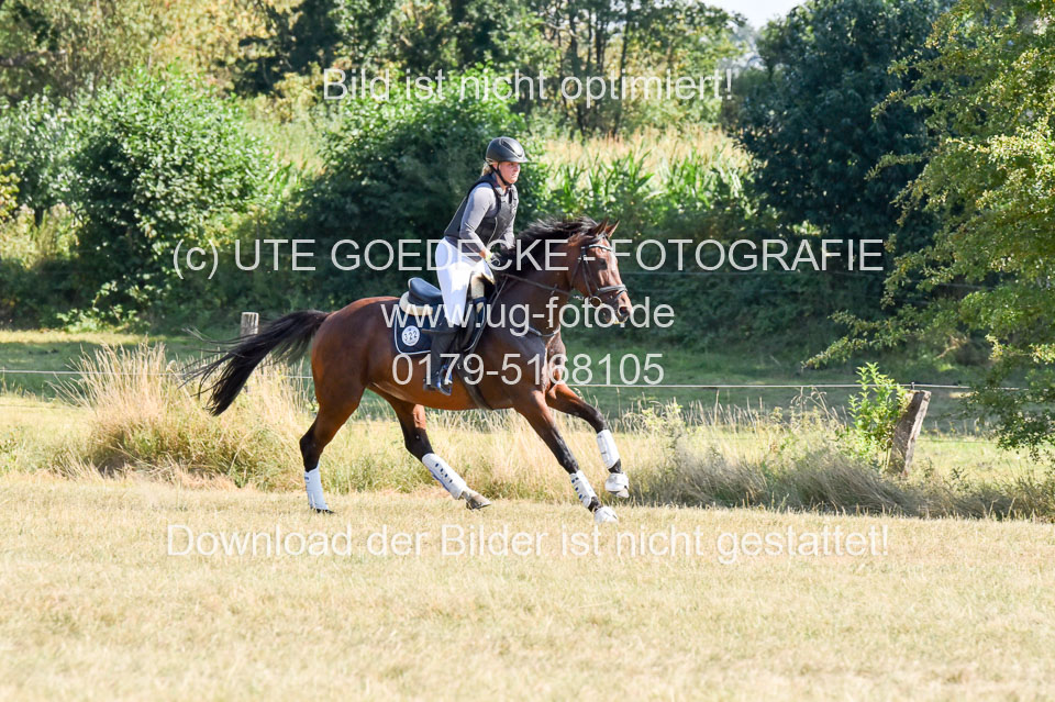 110820---Stil-Gelände-A---_275.jpg