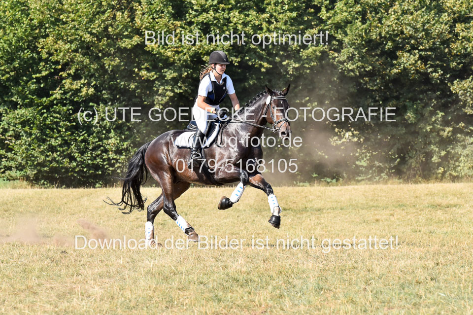110820---Stil-Gelände-A---_312.jpg