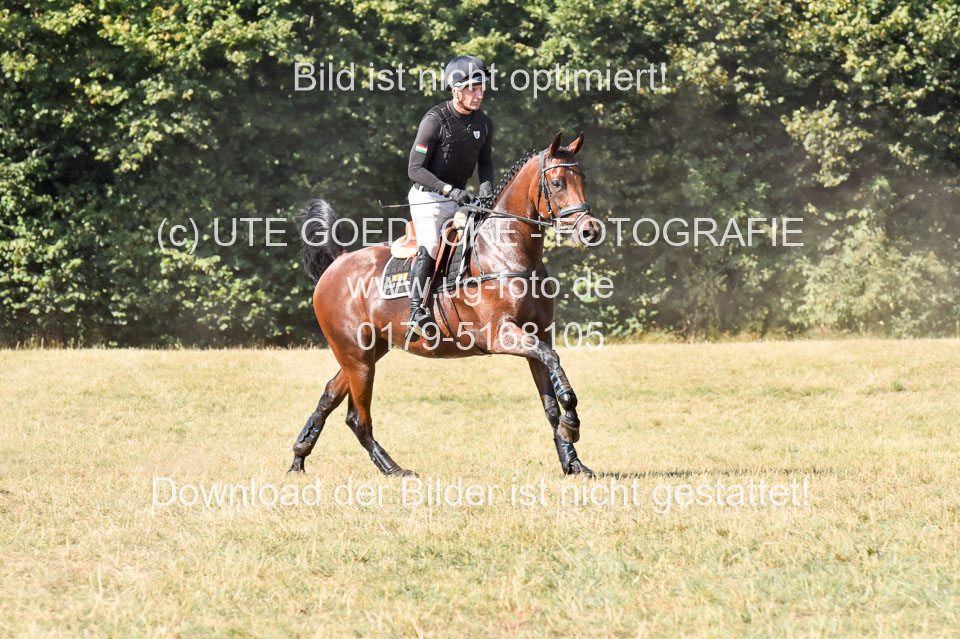 110820---Stil-Gelände-A---_343.jpg