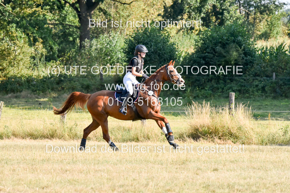 110820---Stil-Gelände-A---_363.jpg