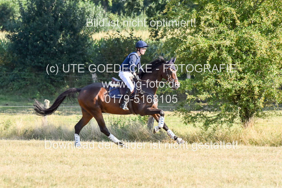 110820---Stil-Gelände-A---_396.jpg