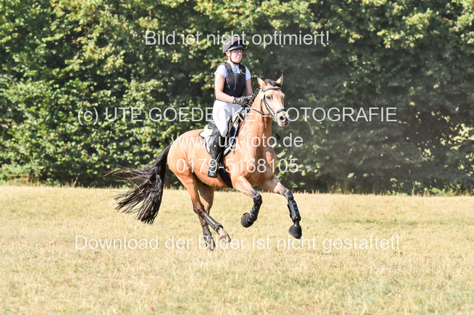 110820---Stil-Gelände-A---_416.jpg