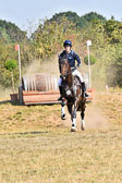 110820---Stil-Gelände-A---_409.jpg