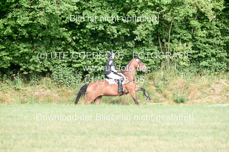 210620-Stil-Gelände-L-bis-182-RLP_268.jpg