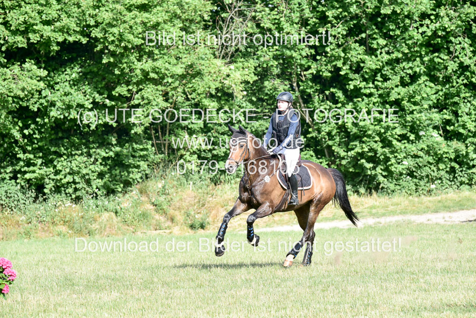 210620-Stil-Gelände-L-bis-182-RLP_313.jpg