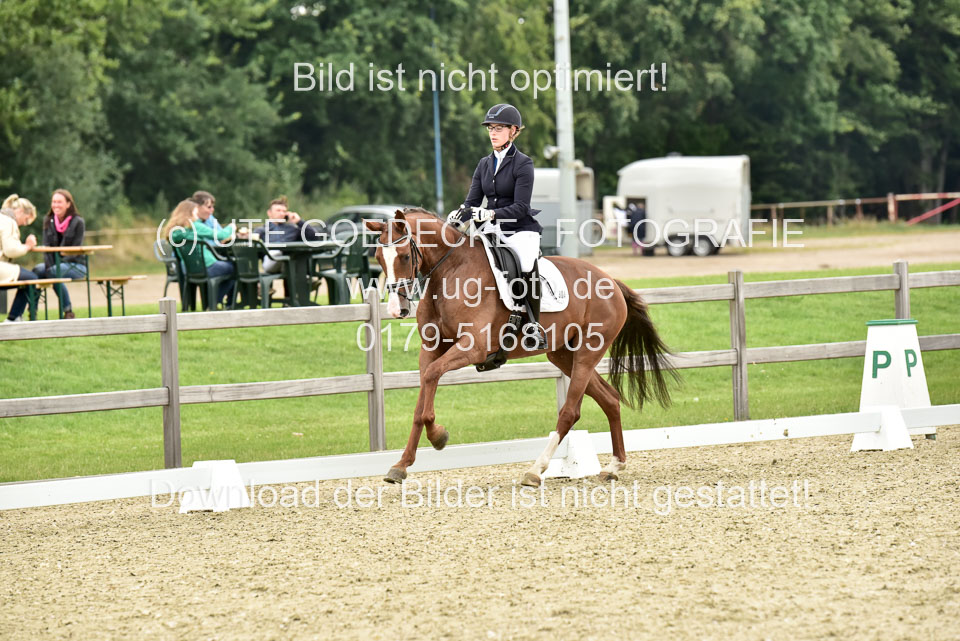 24072020---CdD-Elmshorn-V2_100.jpg