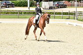 24072020---CdD-Elmshorn-V2_247.jpg