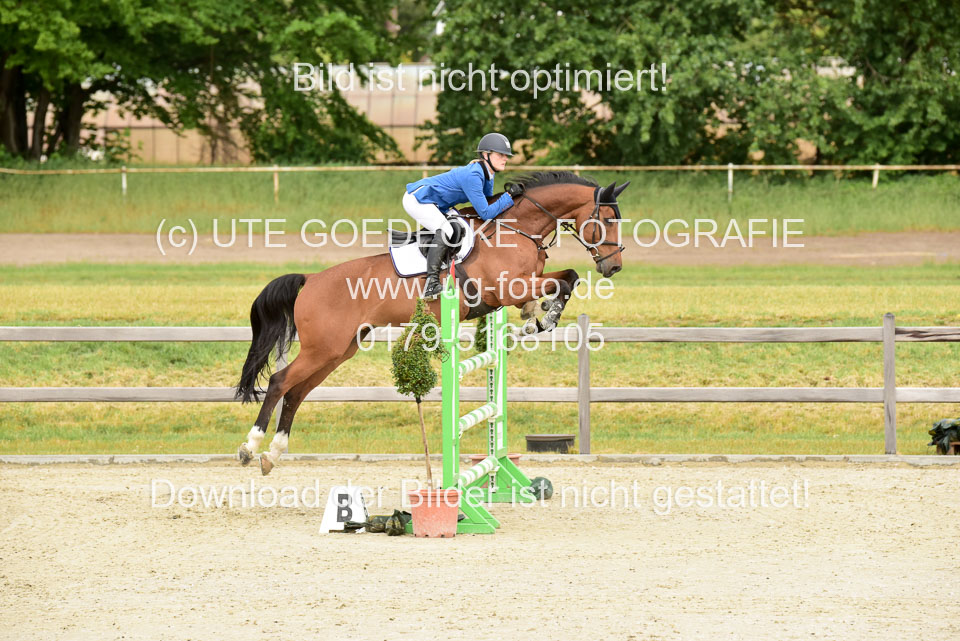 230520-Springen-Kl-L-bis-550-RLP_005.jpg