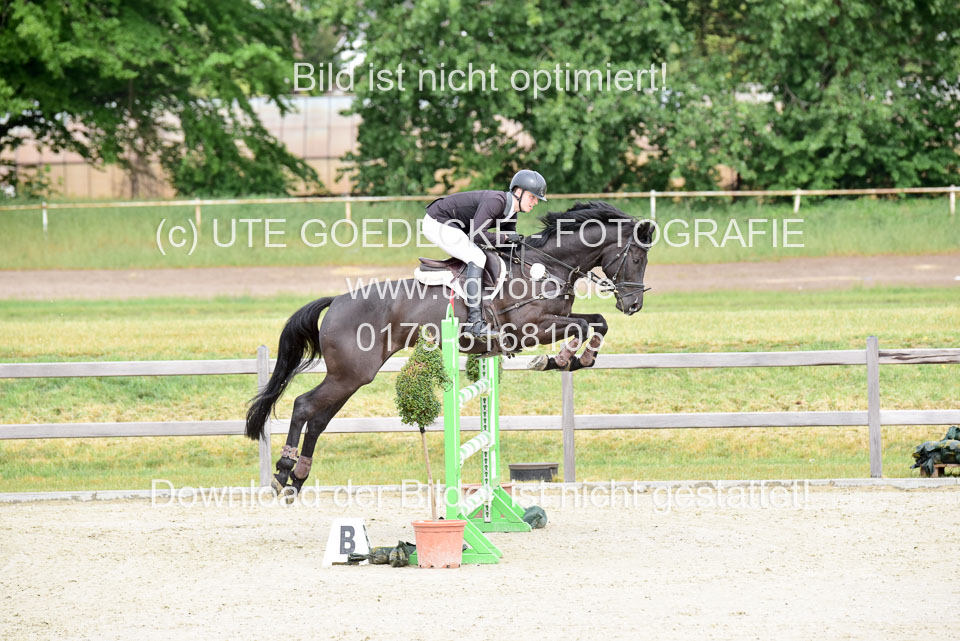 230520-Springen-Kl-L-bis-550-RLP_021.jpg