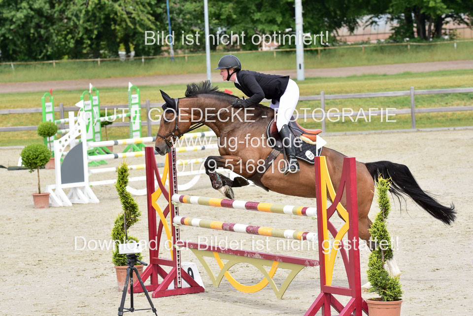 230520-Springen-Kl-L-bis-550-RLP_038.jpg