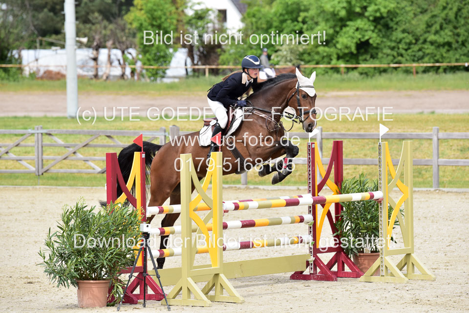 230520-Springen-Kl-L-bis-550-RLP_039.jpg