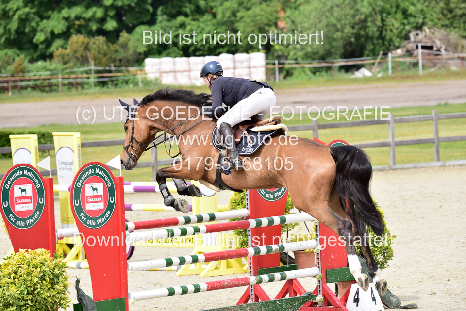 230520-Springen-Kl-L-bis-550-RLP_048.jpg