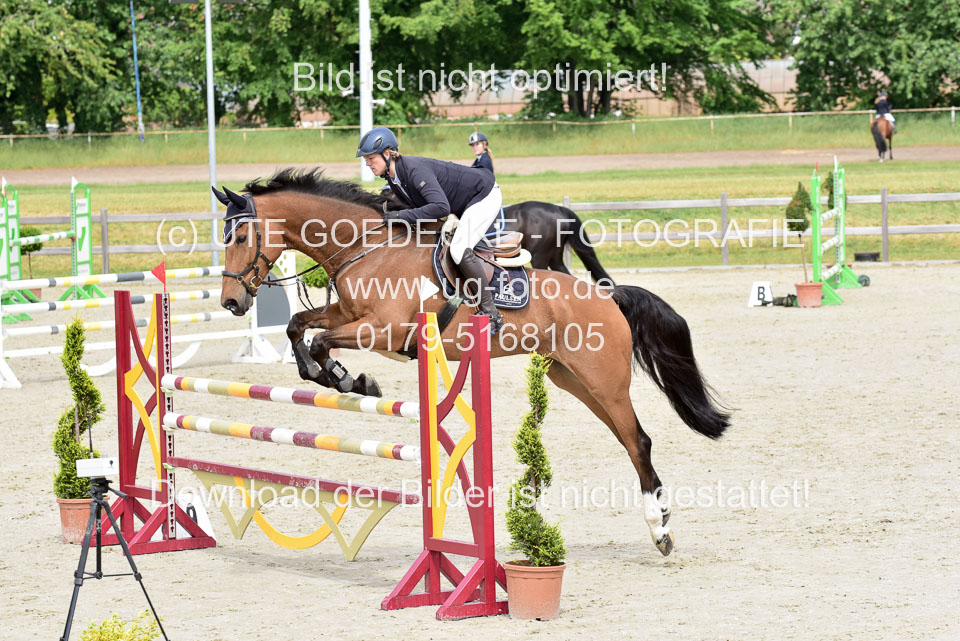 230520-Springen-Kl-L-bis-550-RLP_052.jpg