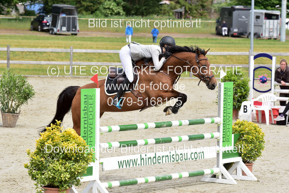 230520-Springen-Kl-L-bis-550-RLP_073.jpg