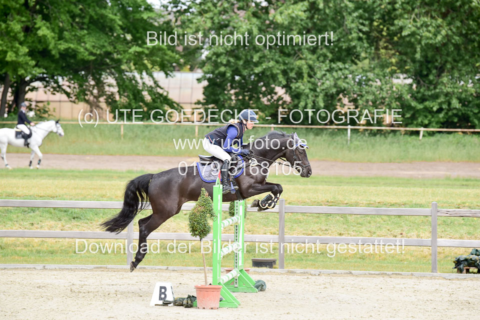 230520-Springen-Kl-L-bis-550-RLP_085.jpg