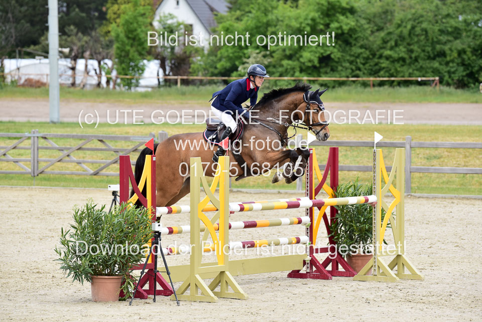 230520-Springen-Kl-L-bis-550-RLP_095.jpg