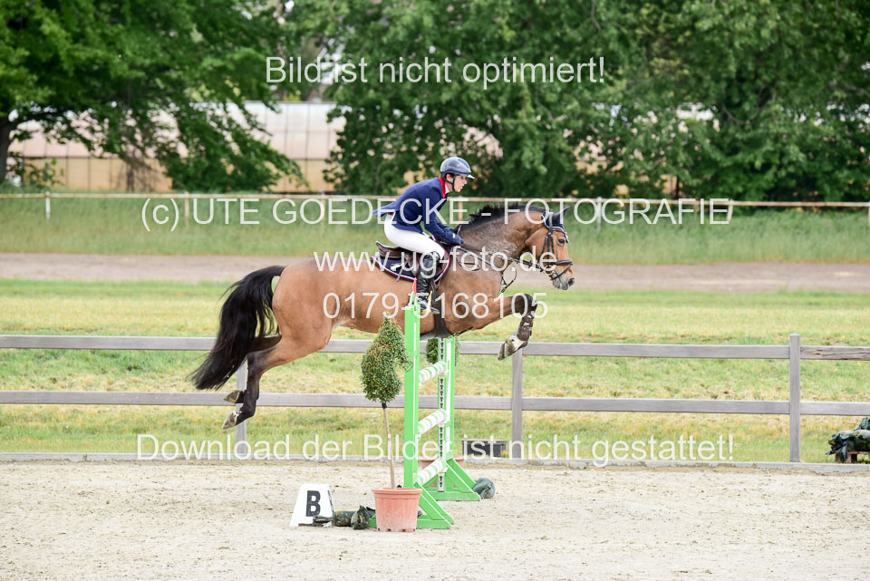 230520-Springen-Kl-L-bis-550-RLP_099.jpg