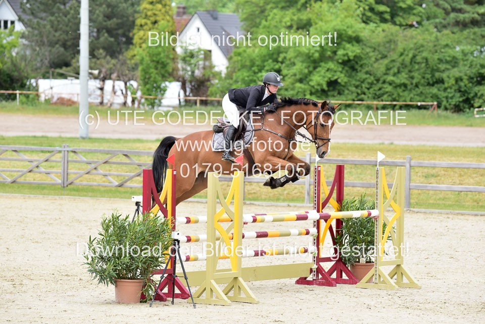 230520-Springen-Kl-L-bis-550-RLP_111.jpg