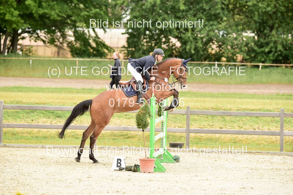 230520-Springen-Kl-L-bis-550-RLP_126.jpg