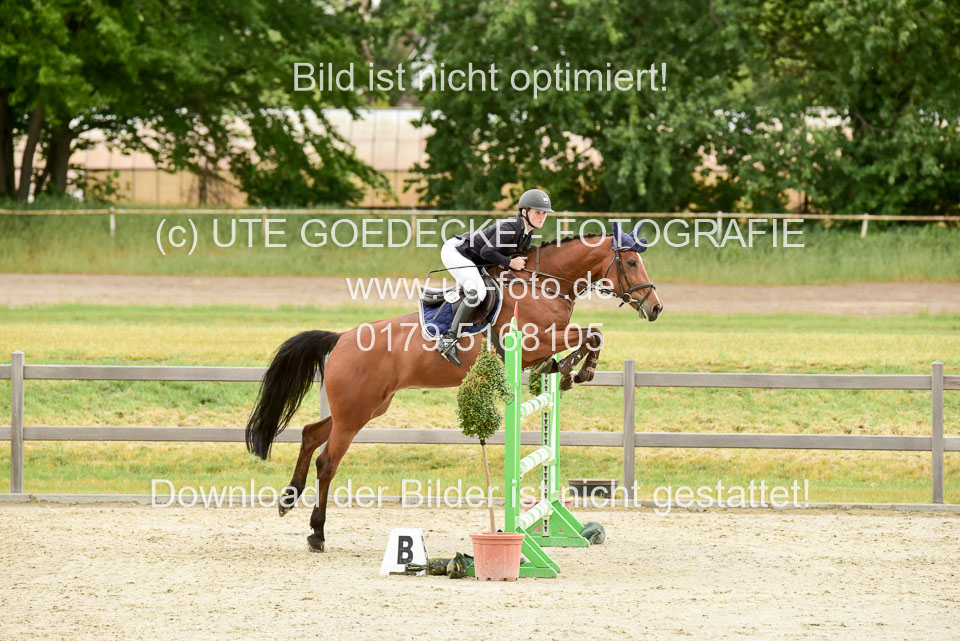 230520-Springen-Kl-L-bis-550-RLP_138.jpg