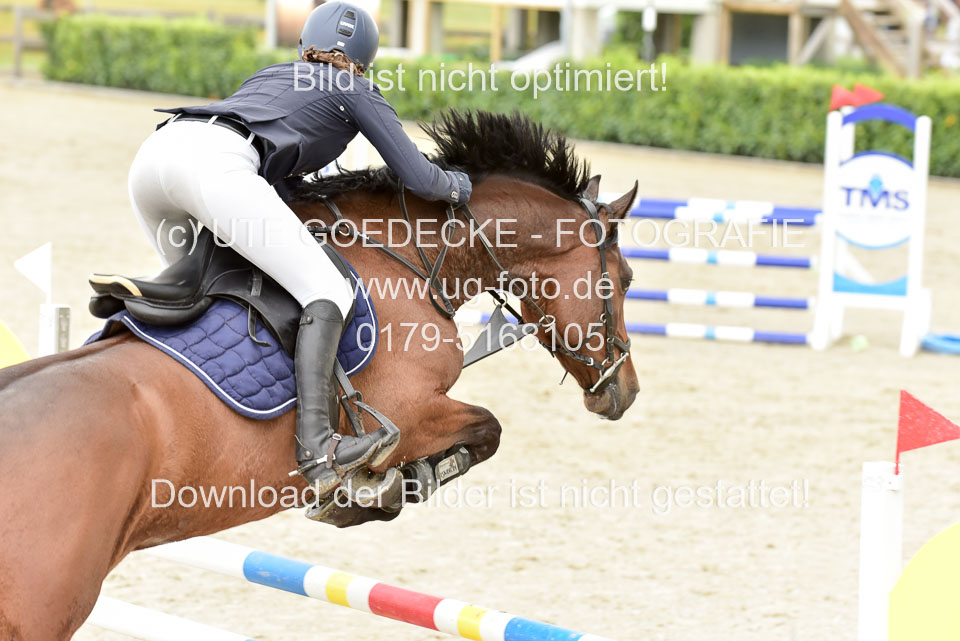 230520-Springen-Kl-L-bis-550-RLP_155.jpg